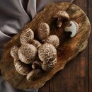 송가농장 이미지