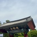 푸른나라미디어 | 경주 불국사 후기 다보탑,석가탑부터 꽃돼지까지! 천년의 역사를 만난 경주 필수코스