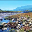 백두상가 이미지