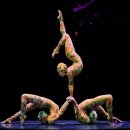 M-017 | [M.Daily #01]🎪 인생 역대급 스릴 태양의 서커스 쿠자! 익사이팅존 R석 BB열 찐후기