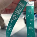 와이제이워크 | 2026 궁디팡팡 캣페스타 간 김에 부코까지 내돈내산 방문후기