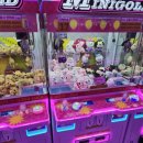 찌꼬뽀꼬 마곡나루2호점 이미지