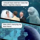 결혼식에 쓱~ 끼어든 흰돌고래…불붙은 포토샵 배틀 이미지