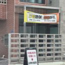 세차의고수울산