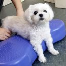 두암한방병원 이미지