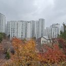 마포래미안푸르지오｜흐름이 멈춘 게 아니라 자리 잡는 구간 이미지