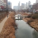 텐즈힐약국 이미지