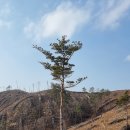 알프스 - 통영시 죽림2로 55-55 | 알프스
