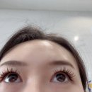 바비윤살롱