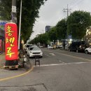 매월주유소 | 광주 도야짬뽕 화정점, N 번째 갔던 내돈내산 후기