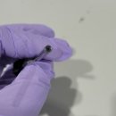 메가메디칼 이미지