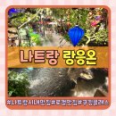 6950 | 나트랑 아이랑 이색체험 쿠킹클래스 시내 로컬 맛집 랑응온 내돈내산 후기