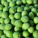 섬진강(순천) 이미지