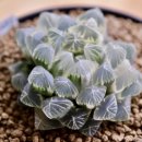 대옥농장 이미지