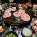 니가사는고기