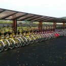 은행나무길 대여소 이미지