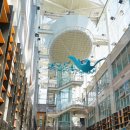 제주국제평화센터작은도서관 이미지