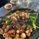 미미애견 이미지