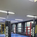 레드복싱 이미지