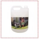 체리쉬퍼피 이미지