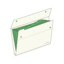 모닝글로리 이미지