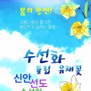 천사(1004)섬 여행사