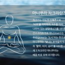 김수정뷰티