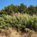 거제중앙로10길 이미지