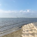 장어장터 이미지