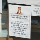 성북동김밥 | 한성대김밥 인생김밥 성북동 호랑이김밥 야채김밥 떡볶이 포장 후기