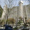 12.주공3단지 네이버블로그