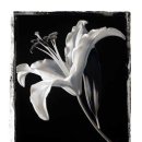 이승원치과의원 이미지