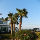 예그린펜션 | 우도 펜션 여기가 유토피아