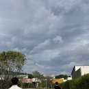 멍팰리스 | 가족과 함께한 빌라쥬 드 아난티 매너하우스 B가든 후기 (+스프링팰리스까지)