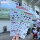 연세우유대리접 | 투쁠 한우 소고기로 기력보충💪🏻, 잠실 야구장 사라지기 전.. 최대한 즐겨~~!! ⚾