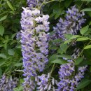 푸른 달 이미지