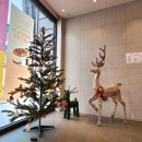 투썸플레이스 용호메트로시티점 이미지