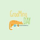 야옹이GROOMING 이미지