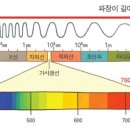 개의 영혼과 대화하는 고양이 이미지