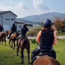 그린승마랜드 이미지