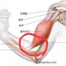 팀 스파르타짐 이미지