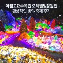 고요정원 | 가평 아침 고요수목원 오색별빛정원 전 종료 후기: 경기도 가볼 만한 곳 3월 마지막 밤, 찬란했던 빛의...