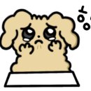 유달동사진관