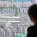 은마부동산중개 이미지