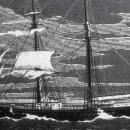 셀러스트 이미지