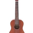 행복한 우쿨렐레 이미지