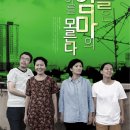 아들은 엄마의 나이를 모른다 이미지