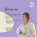 선진6길2~선진6길84 주변 | 강남구 논현동 애견미용샵 BEST5
