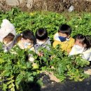 은하어린이집 이미지