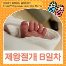 후 회복기, 조리원 지연 3일차, 산후 프로그램 교육(수유, 마사지), 특식, 신생아실 간식 선물, 야식 피자